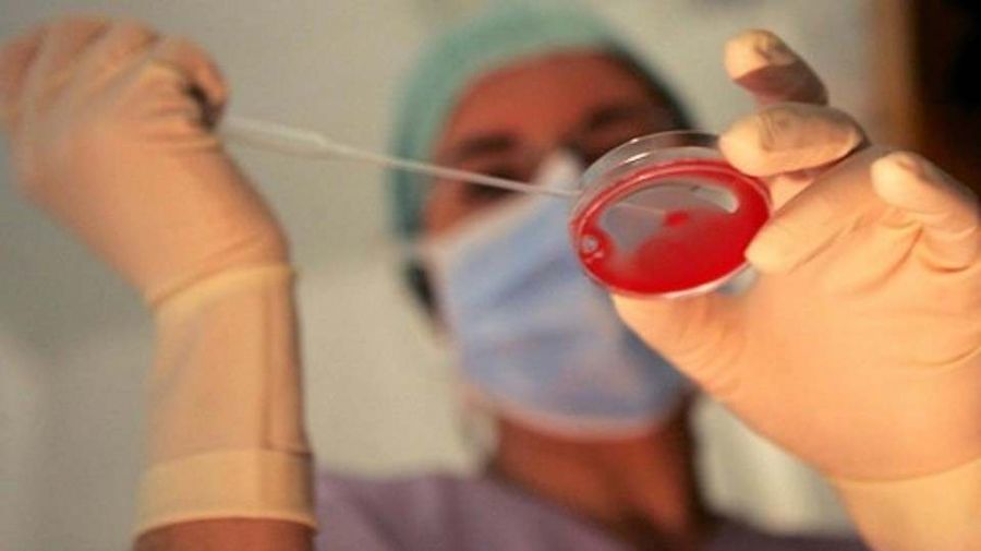 Sardegna, procreazione assistita: 350mila euro per le coppie che desiderano accedere ai trattamenti