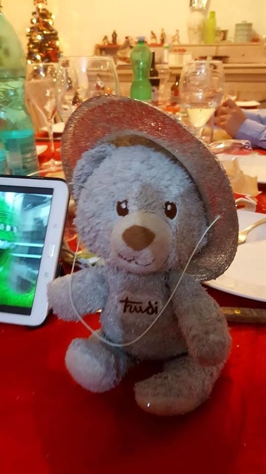 “Vi prego, aiutatemi a ritrovare Froger, il pelouche perso in via Manno: mio figlio di 21 mesi è disperato”