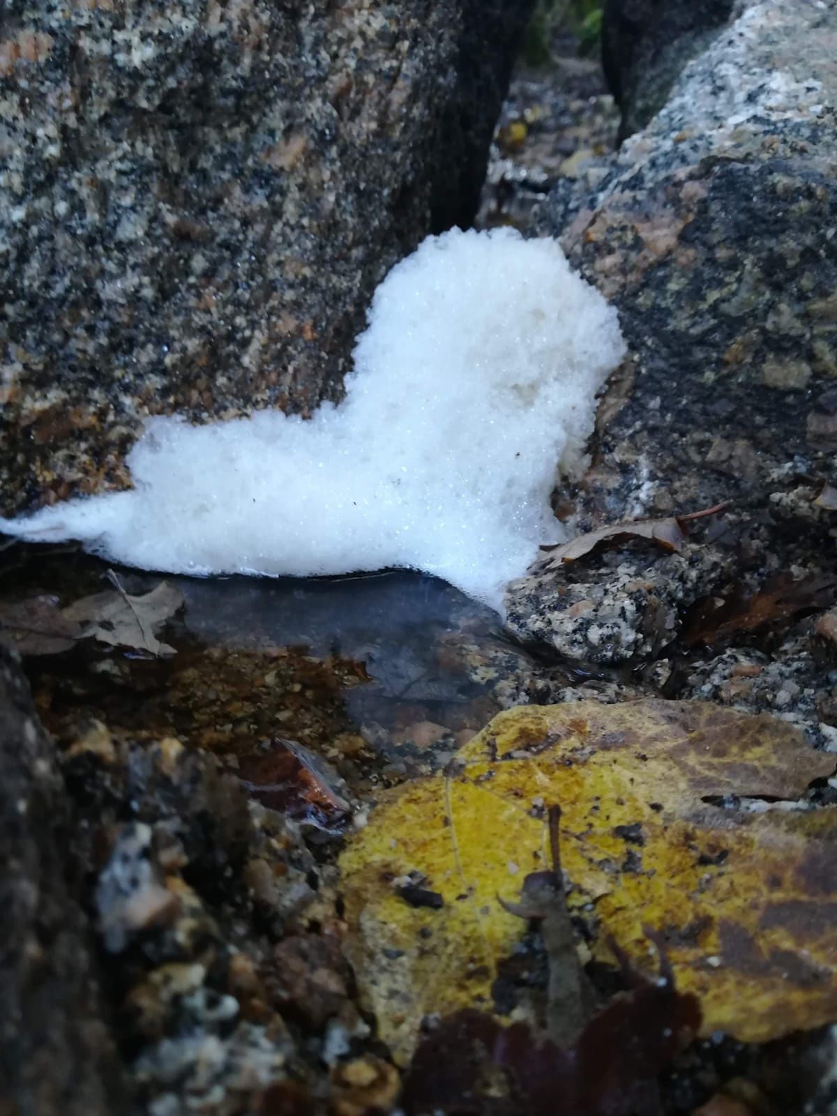 Nuoro, strani scarichi fognari abusivi sul Monte Ortobene: la video denuncia
