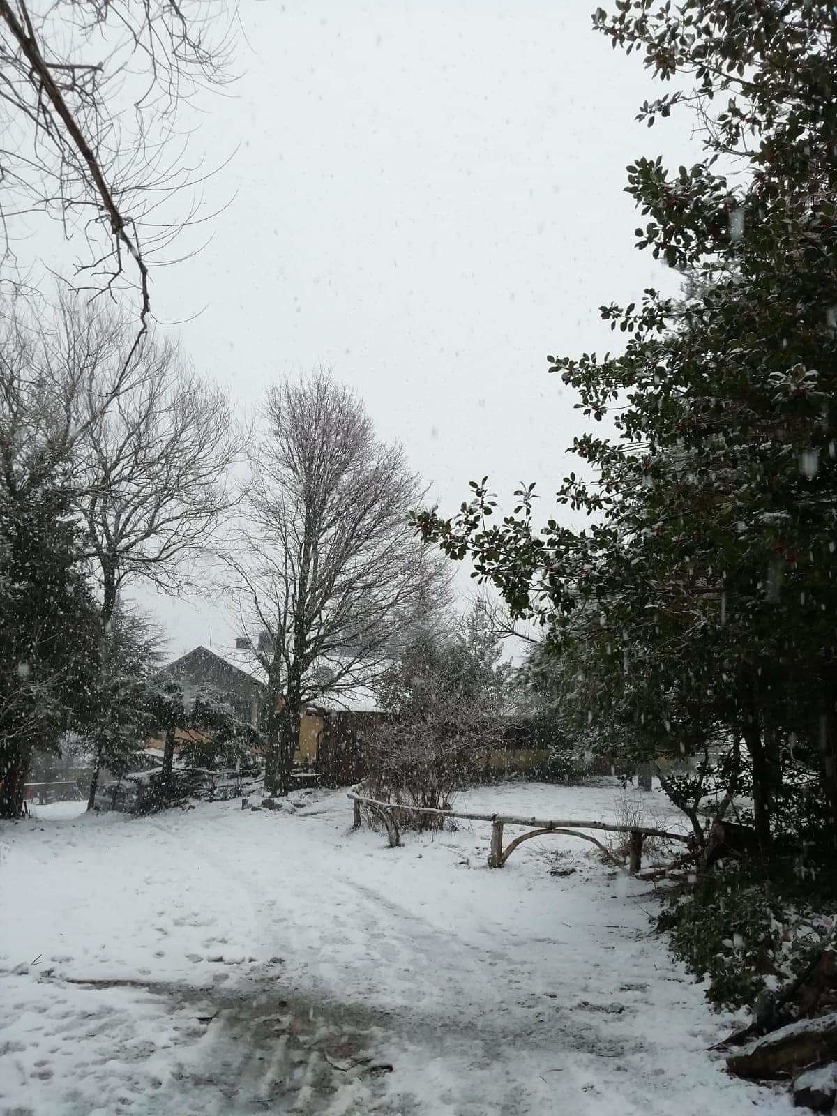Tutta la magia della neve in Sardegna, a Desulo è un trionfo di candidi fiocchi