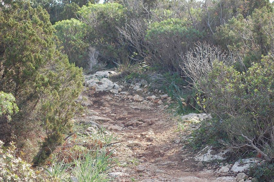 Cagliari: “Basta motocross e mountain bike alla Sella del Diavolo. Stanno distruggendo tutto”