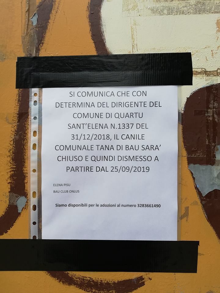 Chiude il canile comunale di Quartu, esplode la rivolta degli animalisti: “Salviamo e adottiamo tutti i 4 zampe”