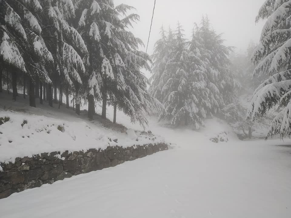 Neve a Primavera in Barbagia: cartoline dal Gennargentu imbiancato