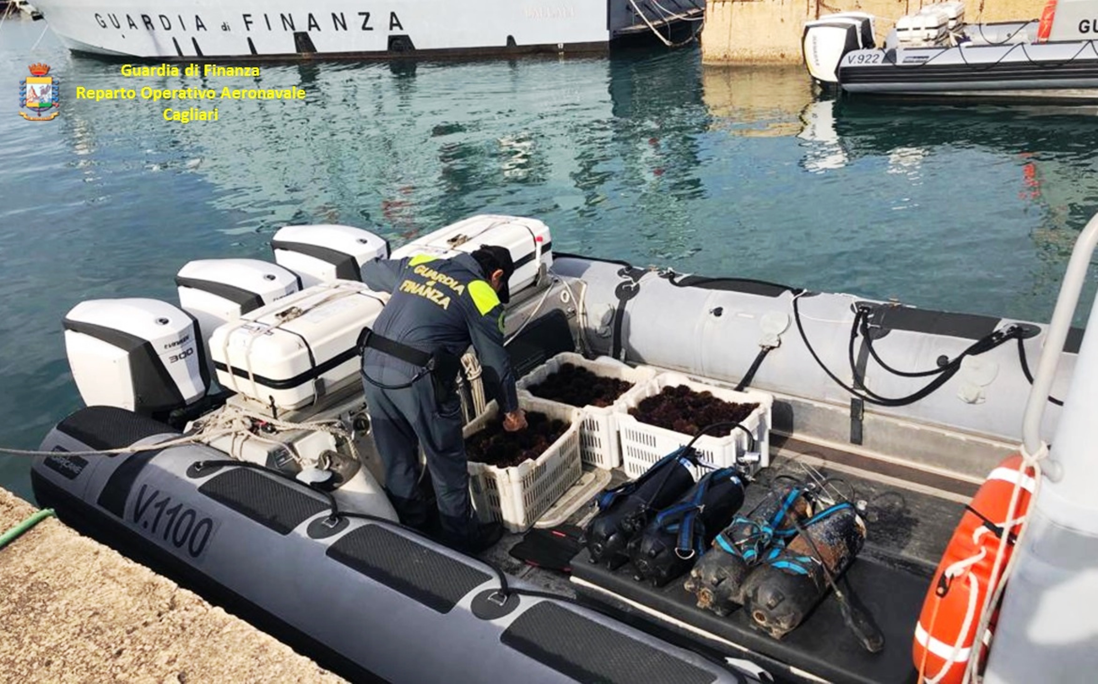 Cagliari, guerra ai bracconieri del mare: pescatori di frodo colti sul fatto con 1500 ricci “proibiti”