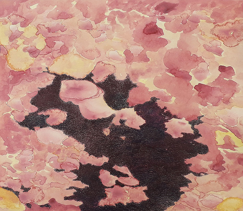 Il Gioco dei Dove in esposizione a Cagliari