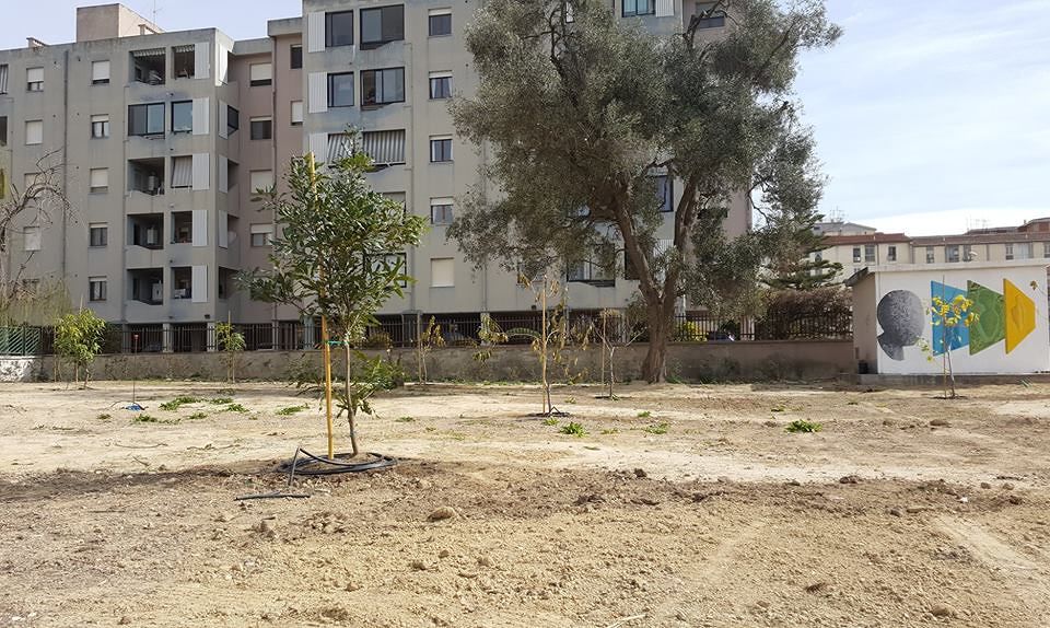 Cagliari, svolta verde a Is Mirrionis: sterrato diventa frutteto tropicale per il rione