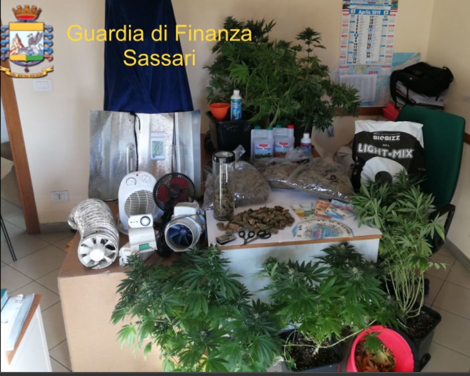 Una piantagione di marijuana nella mansarda: 21enne in manette ad Alghero