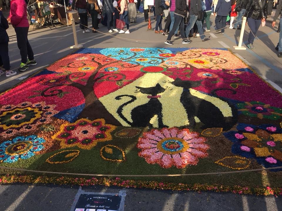 Tappeti multicolori, musica ed esposizioni: è tutto pronto per la nona edizione di Tortolì In Fiore