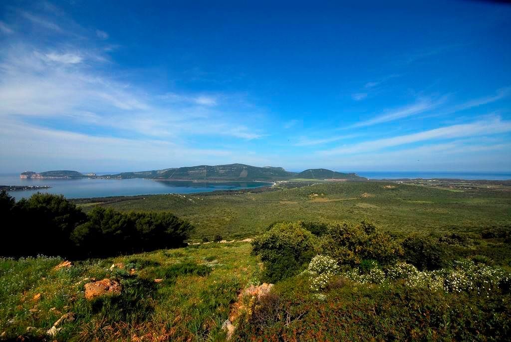 “Porto Conte, un ambiente unico e speciale. Cinquemila ettari da vivere e raccontare, in questo angolo di paradiso tra terra e mare”