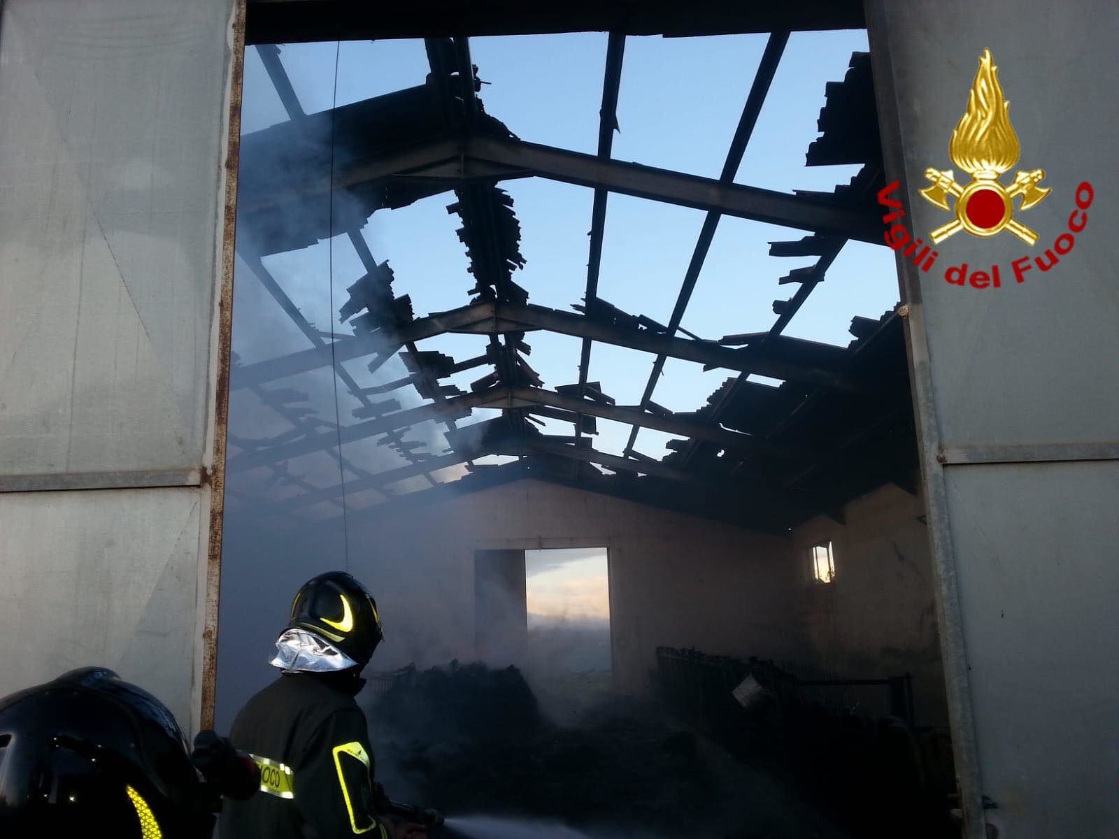 Rogo in un ovile a Orroli: 60 pecore arse vive