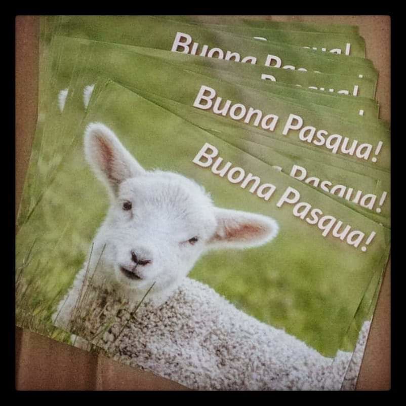 “Basta violenze sugli agnelli, mangiate cibi vegetali”: vegani in azione anche a Cagliari