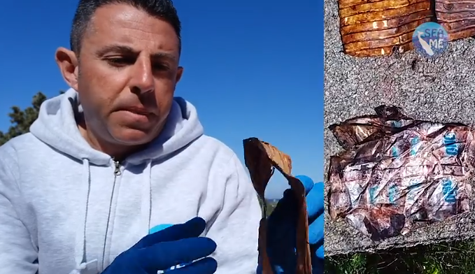 Capodoglio spiaggiato a Porto Cervo: “Ecco la plastica che abbiamo trovato nello stomaco”