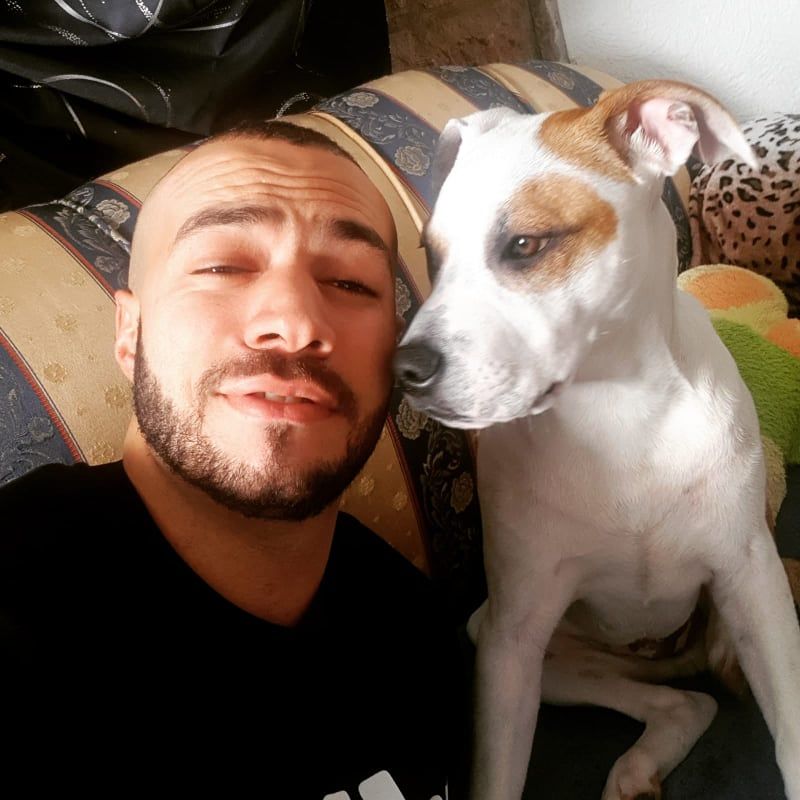 Monserrato, il pitbull Thor non si trova: “L’hanno rapito? Offro mille euro a chi me lo riporta”