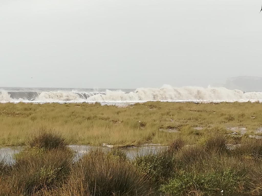 Spiaggia di Cardedu, la mareggiata record tra onde pazzesche e momenti di paura: foto e video dei lettori