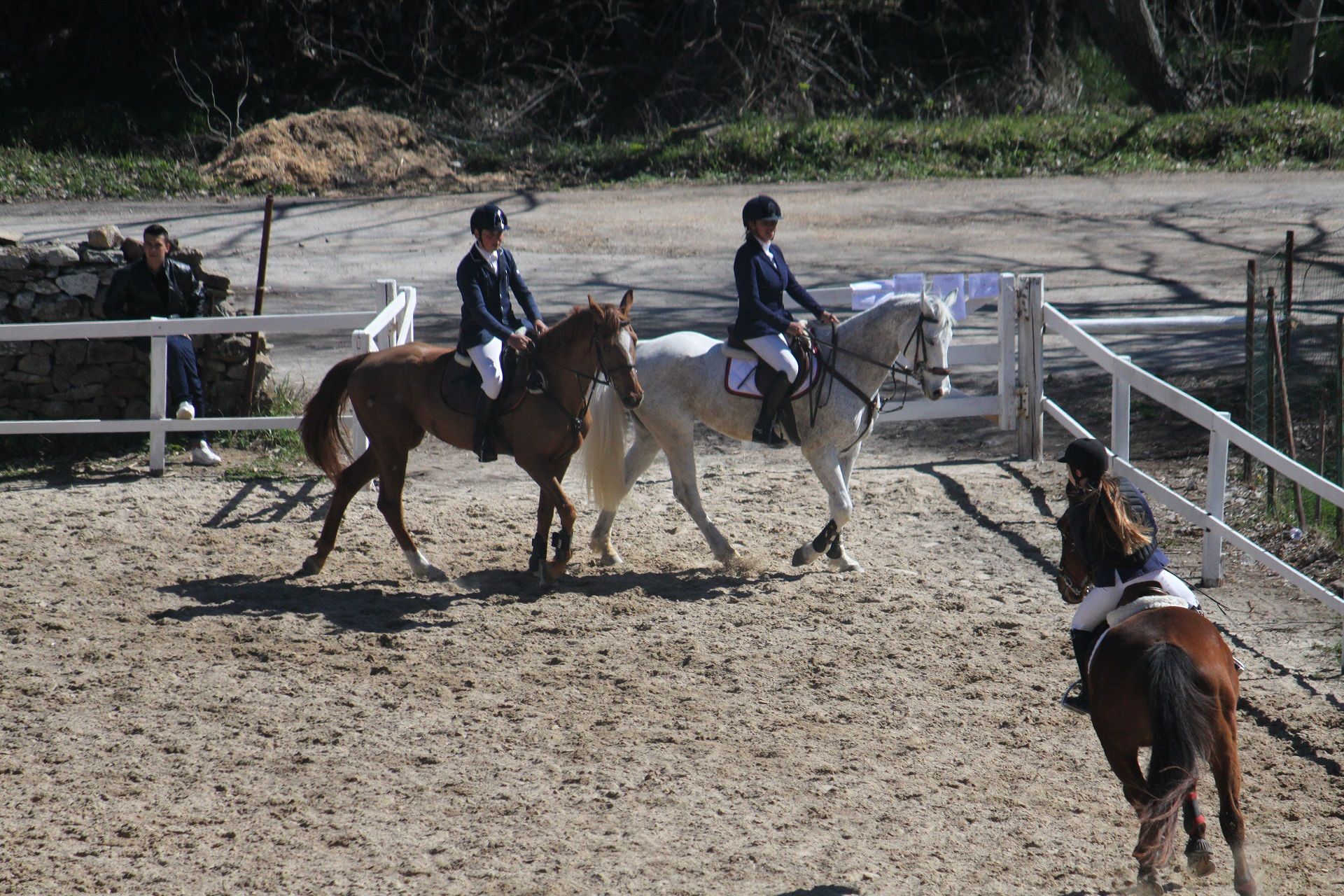 Dressage e Salto ostacoli: al via il 1° Trofeo Goceano a Foresta Burgos