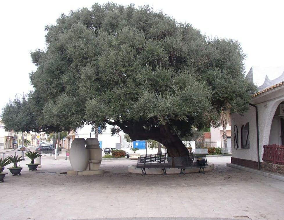 “Cari onorevoli, il nostro Sulcis ha appena due rappresentanti in Consiglio nonostante le difficoltà sociali…”