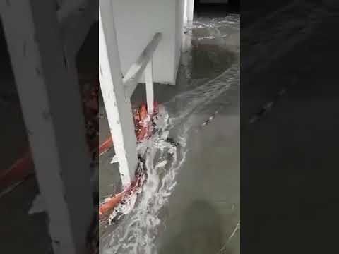 Poetto, la super mareggiata di Pasquetta nel VIDEO spettacolare al Lido: “Aiuto, aiuto…”