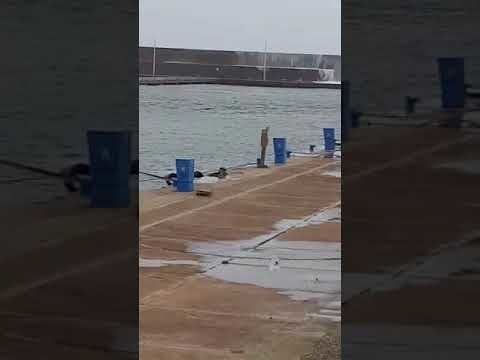 Porto Corallo, barca si rovescia: muore un uomo. Il VIDEO della fortissima mareggiata in corso: “Guardate il molo, aiuto…”