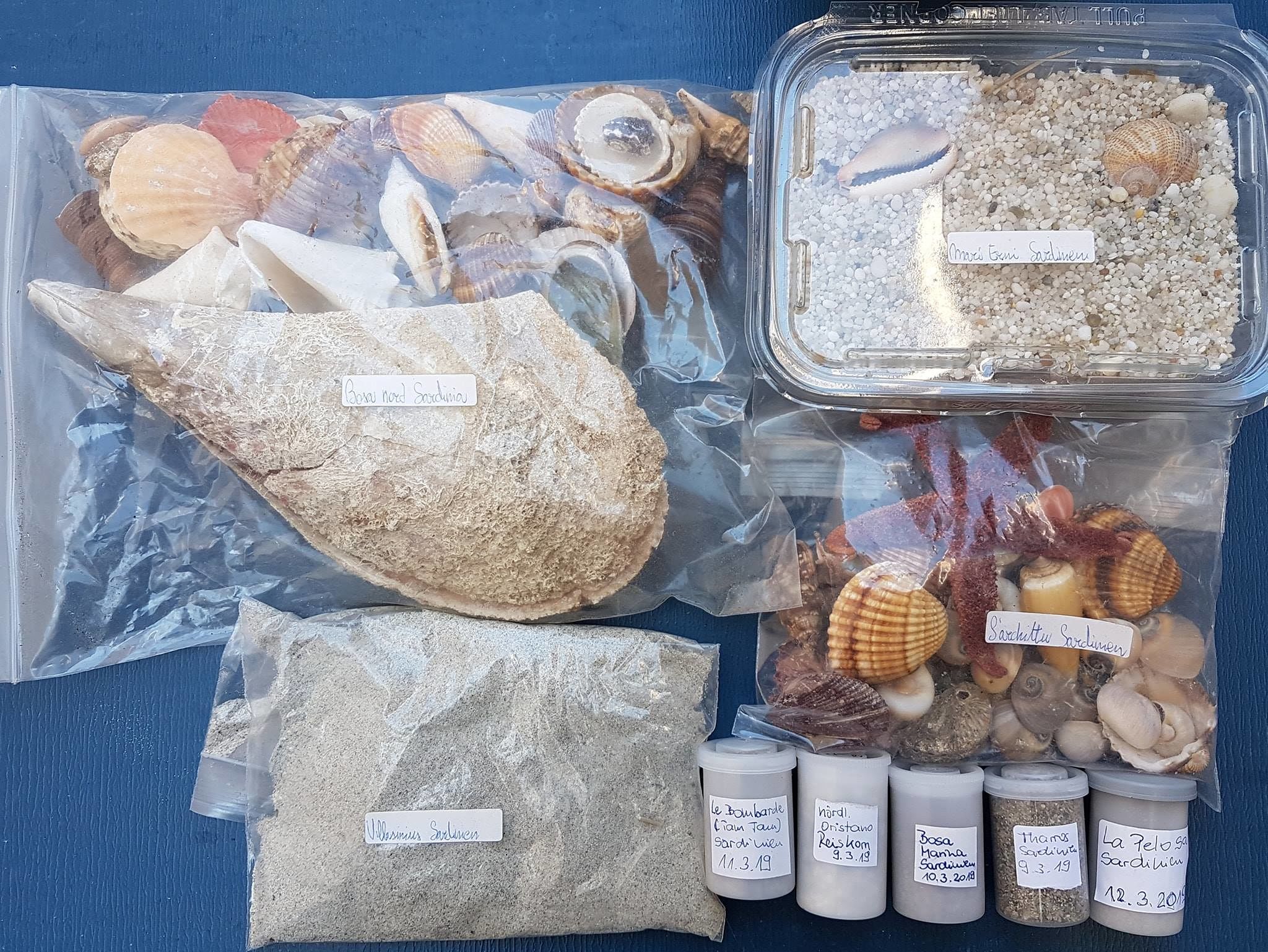 Sardegna, spiagge già depredate dai turisti: sabbia conchiglie e pinne nobili come souvenir