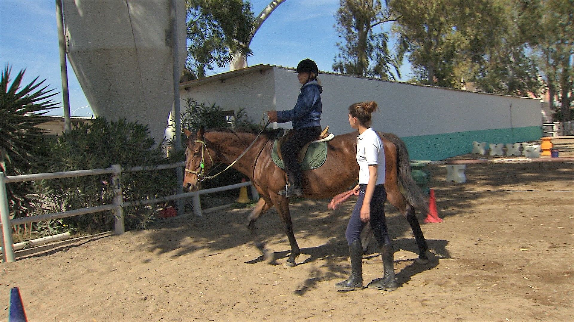 Ippoterapia, Sardegna in prima linea per l’utilizzo con gli affetti da sclerosi multipla