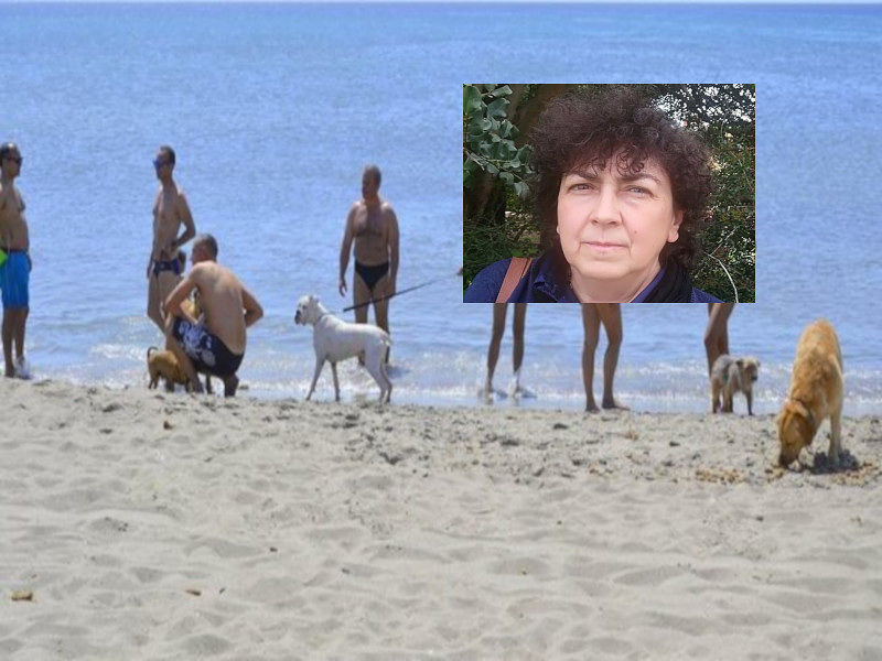Cani fuori dai recinti in tutte le spiagge anche a Cagliari, animalisti felici: “Sono più puliti delle persone”