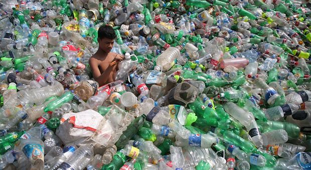 Ambiente, dall’Onu notizie apocalittiche: “Un milione di specie estinte tra pochi decenni”