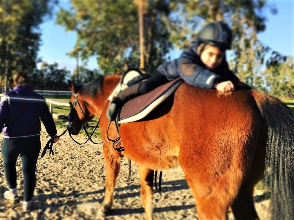 Gli Interventi Assistiti con il Cavallo: dalla ippoterapia alla integrazione sportiva della disabilità