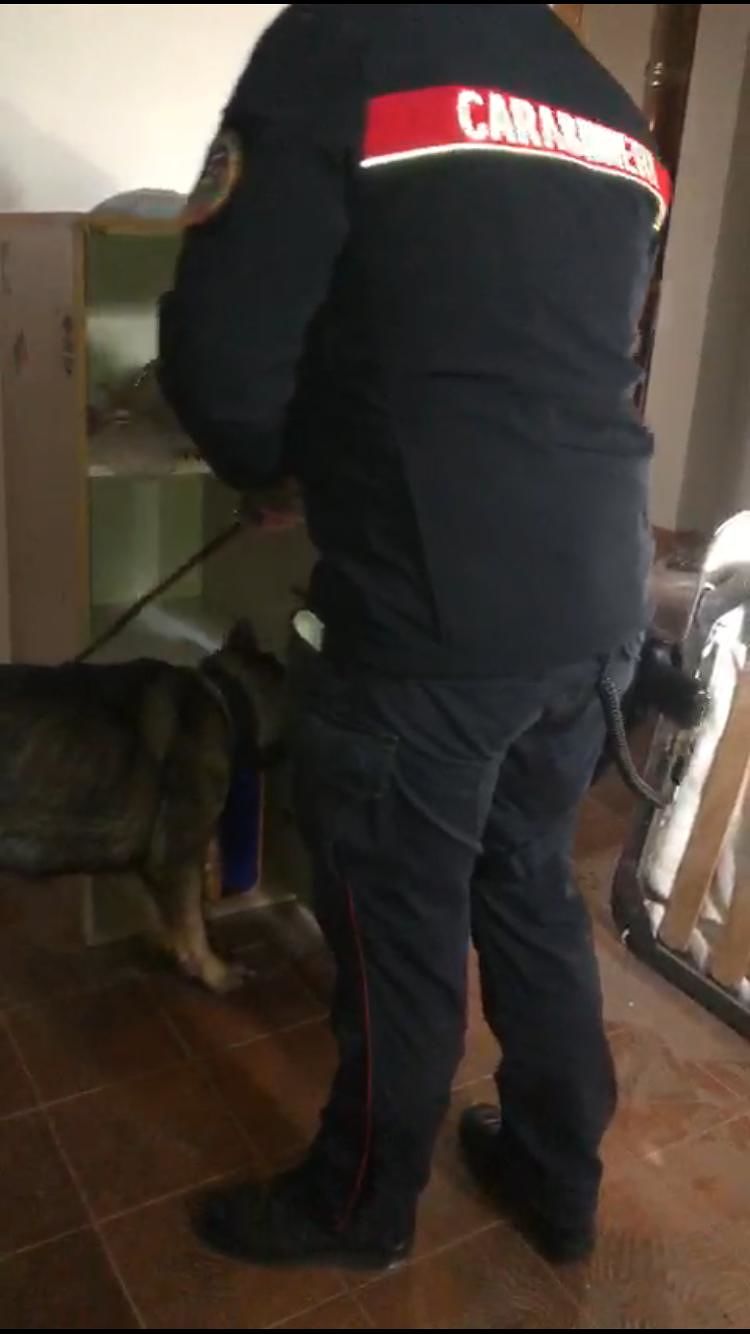 Traffico di droga a Villacidro, quattro persone in manette