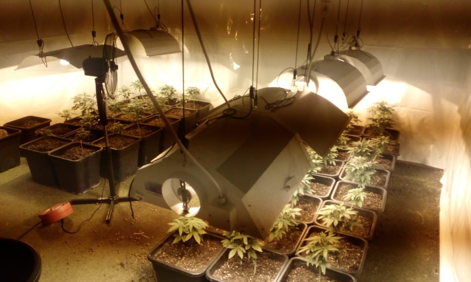 Chili di droga a Cagliari e una “serra artigianale” a Quartu: tre persone in arresto