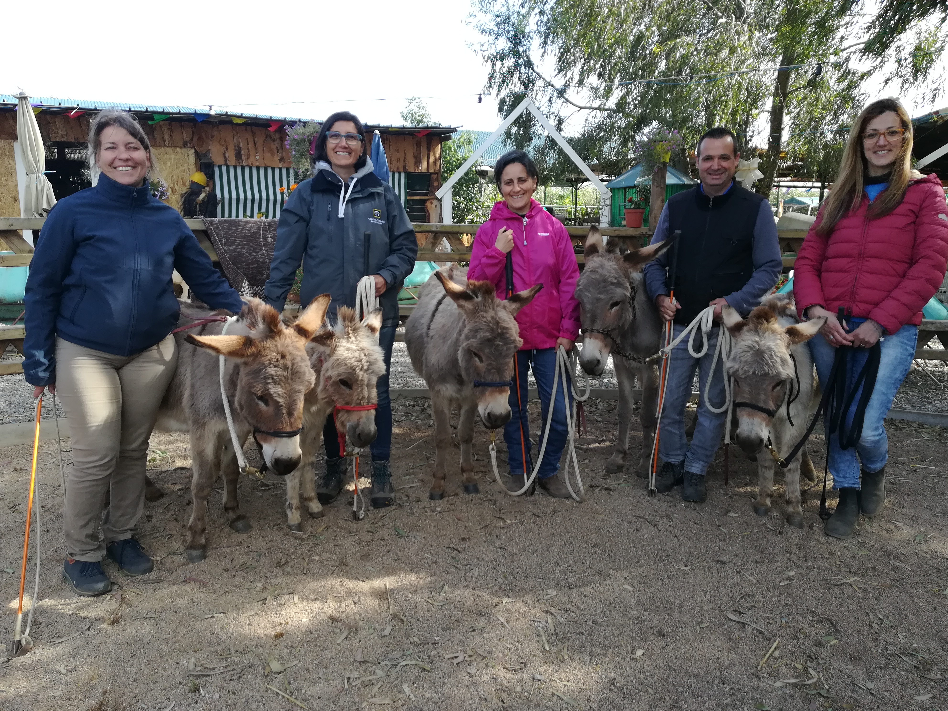 La rivalutazione dell’asino in Sardegna