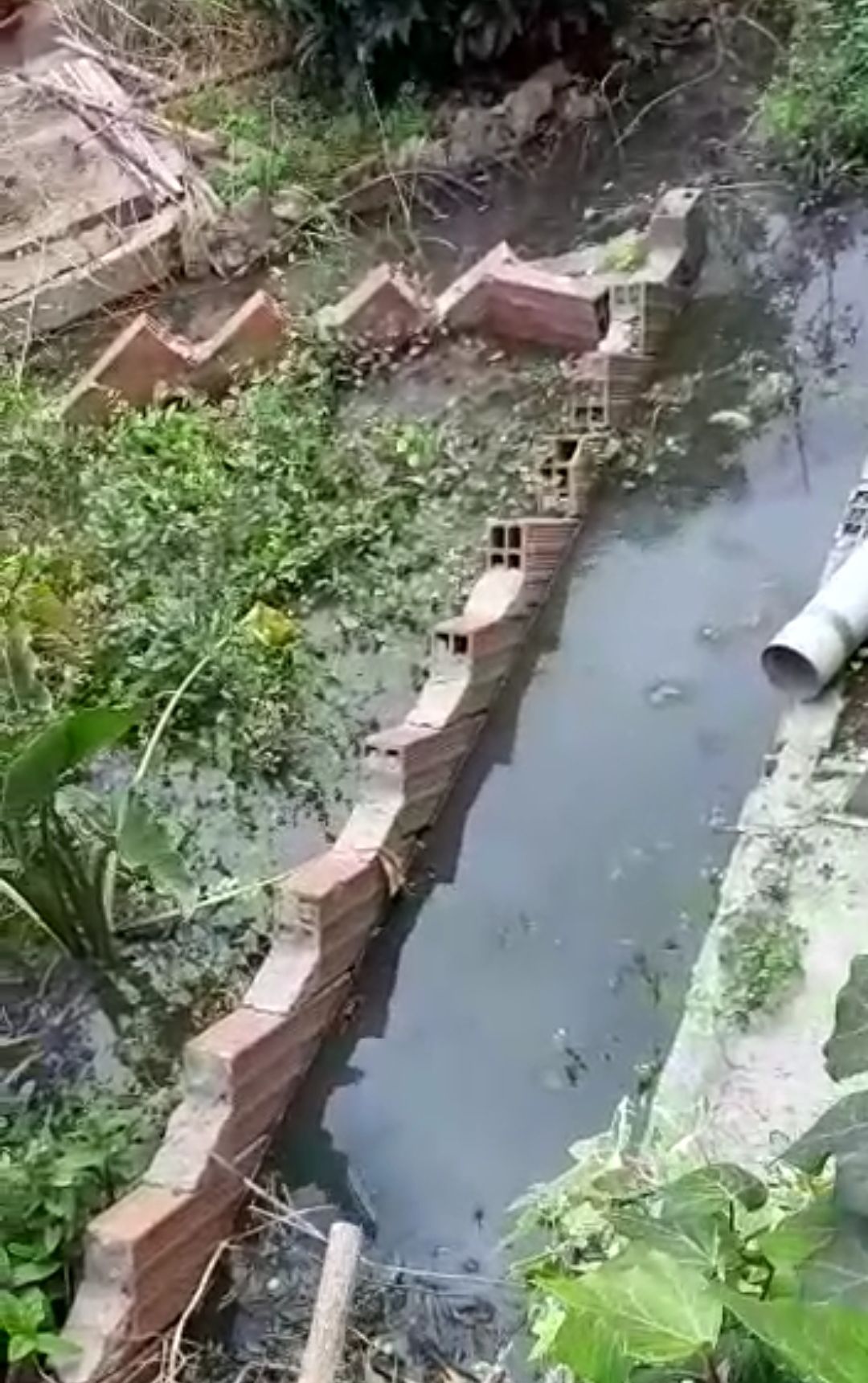 Cagliari, fogne ko a San Michele: “Da tre mesi viviamo tra la puzza”