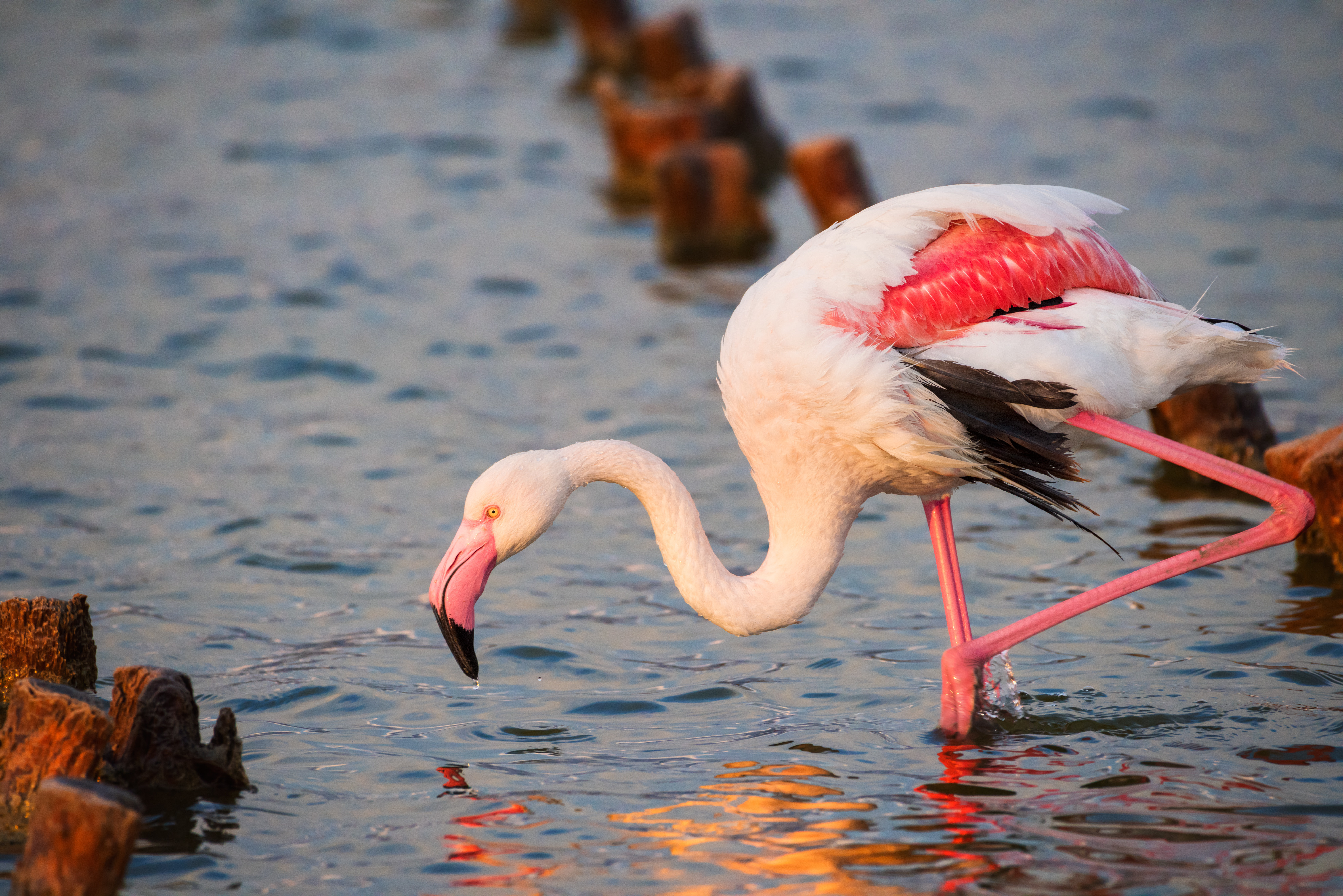 Quartu, ecco come assumere i disoccupati: via ai corsi di formazione su turismo e agricoltura