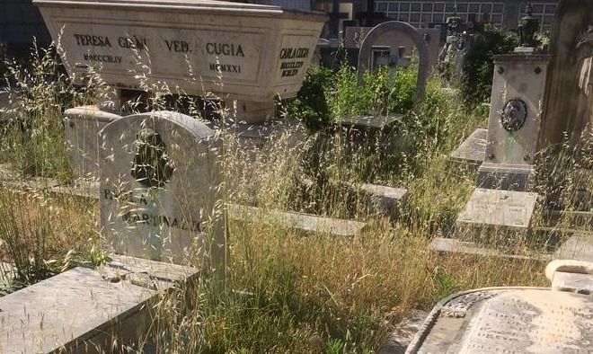 Cagliari, sterpaglie “monumentali” al cimitero di Bonaria: “Lapide dei miei nonni inarrivabile”