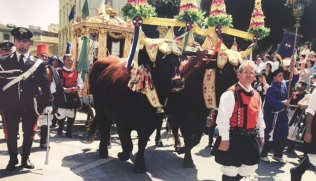 “Buoi tristi, costretti a scivolare a Sant’Efisio? Ma stiamo scherzando? Noi li curiamo con amore: colpa della troppa ressa, aiutateci”