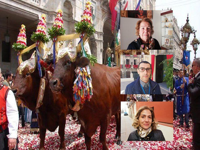 Addio ai buoi per Sant’Efisio? “Animalisti, fatevi benedire: le tradizioni non si toccano”