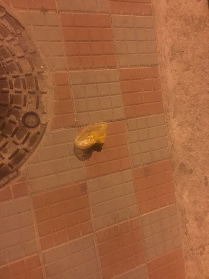 Le “cacche volanti”, nuova moda dell’inciviltà a Cagliari: gli escrementi dei cani gettati in strada