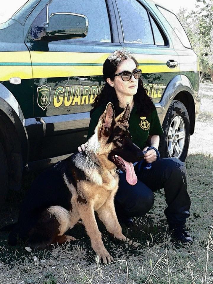 Cani tenuti senza acqua, in mezzo a rifiuti ed escrementi: denunciato ristoratore a Siliqua