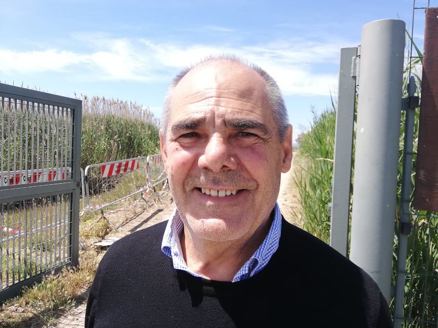 Quartu, “sì alle auto dentro Molentargius: i fenicotteri si abituano, non sono cretini come gli uomini”