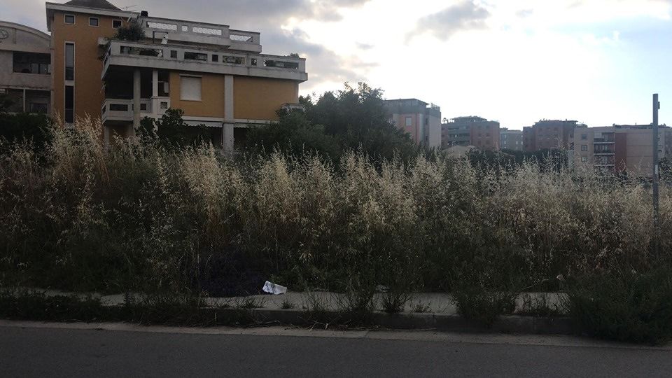 Selargius, sterrati ovunque e foresta di erbacce sui marciapiedi: allarme a Su Planu