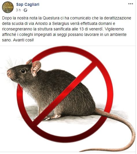 Topi a scuola a Su Planu, interviene il sindacato di polizia: “La derattizzazione scatta subito”