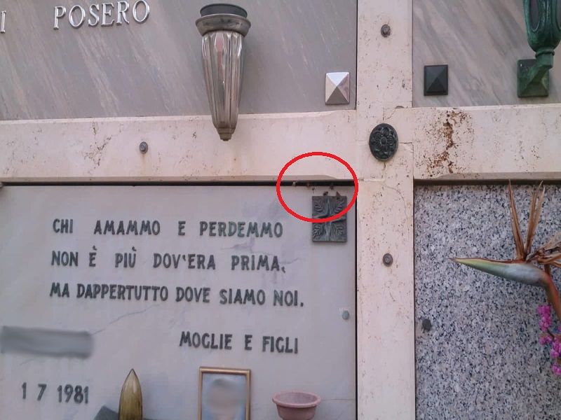 Cagliari, sos vespe al cimitero di San Michele: “Hanno fatto il nido dentro un loculo”