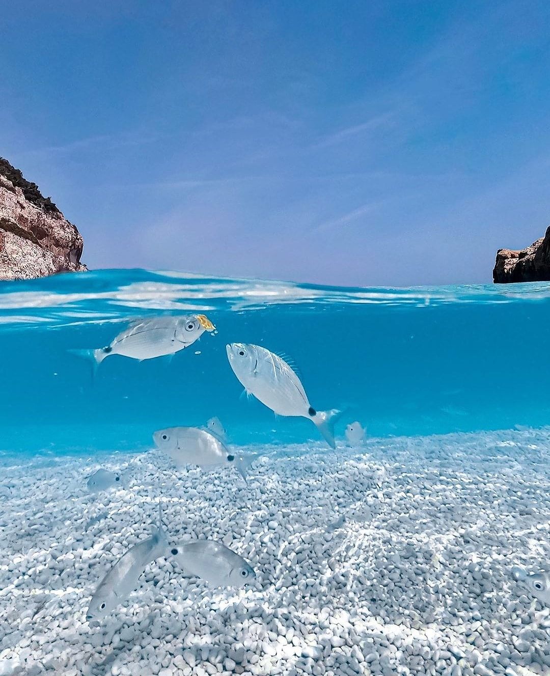 Altro che Caraibi: l’acquario naturale è a Cala Mariolu in Ogliastra