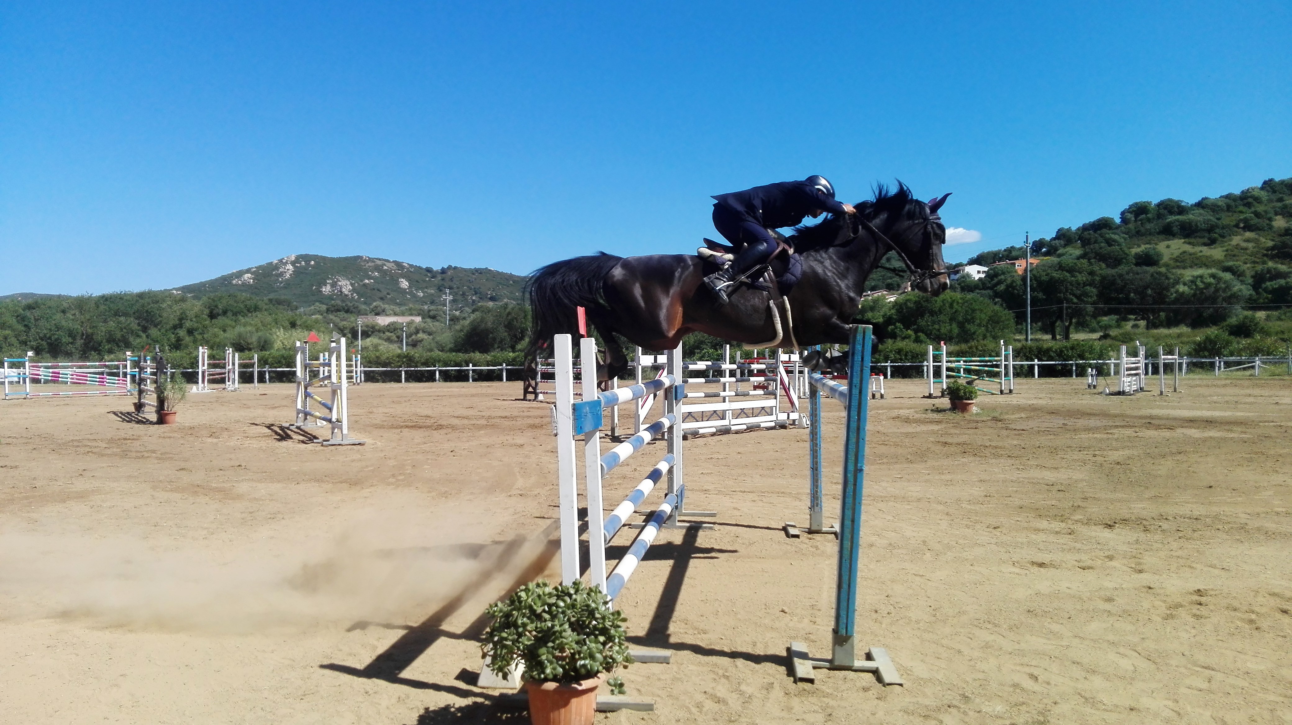 Salto ostacoli: Andrea Guspini vince il Gran Premio “Trofeo dei Nuraghi”