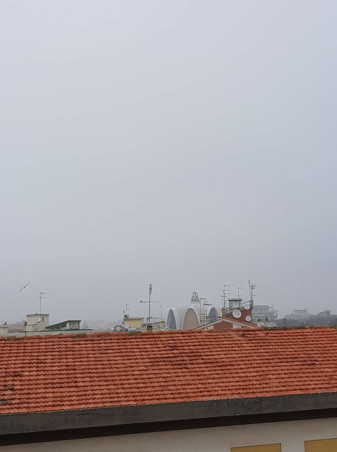 La nebbia avvolge tutta Cagliari, risveglio “nordico” da San Benedetto al Poetto