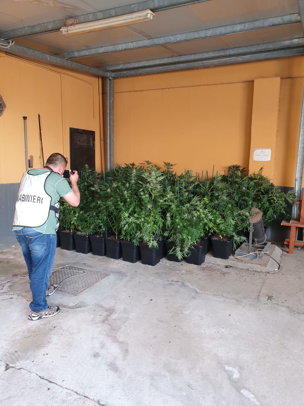 Ussana, una serra artigianale nella casa in affitto: in manette pizzaiolo selargino