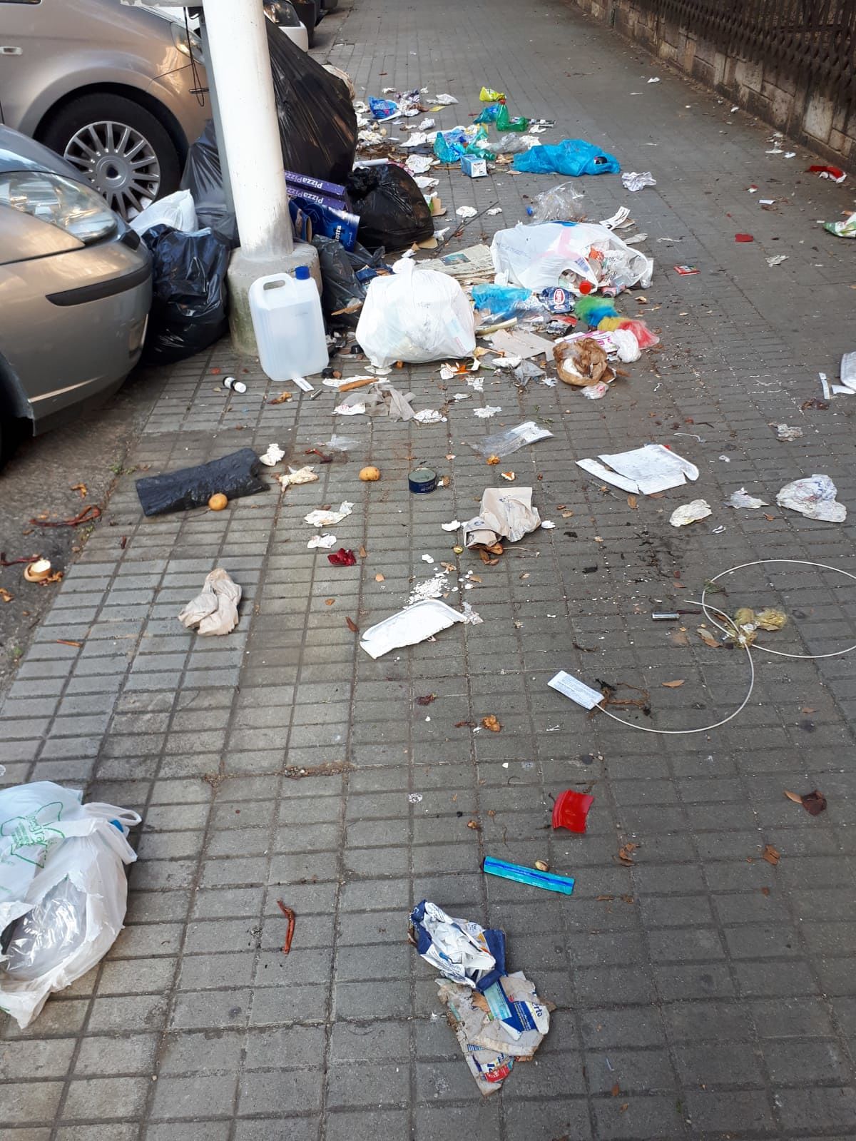 Cagliari, tappeto di rifiuti in via Castiglione: “I gabbiani banchettano felici grazie agli incivili”
