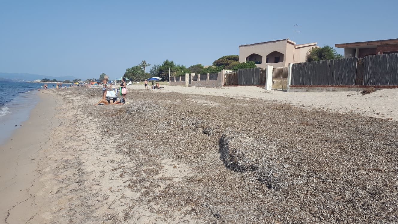 Quartu, un tappeto di alghe sul litorale di Flumini: “Il Comune le porti via o lo faremo noi”