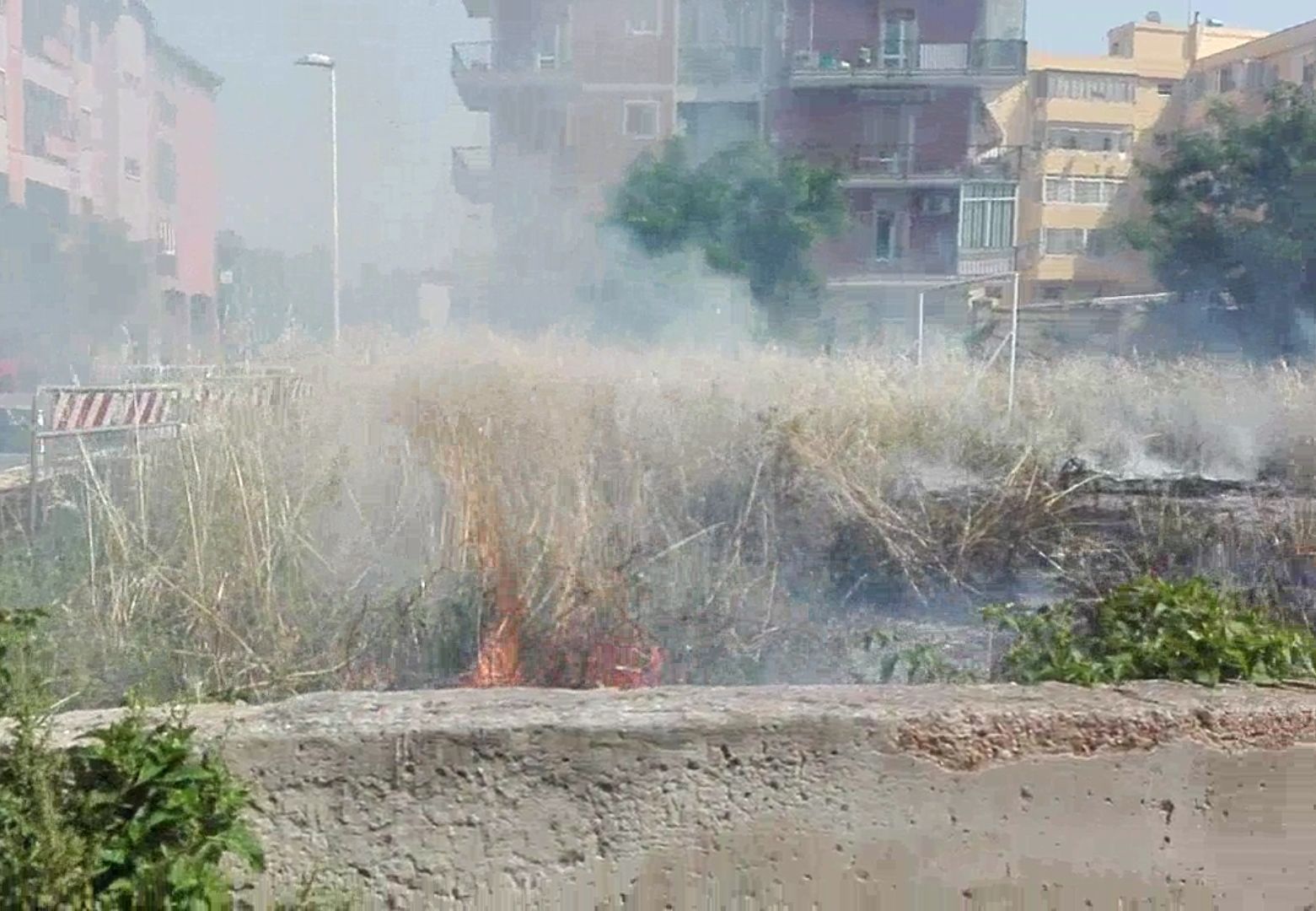 Cagliari, fiamme in un campo a Is Mirrionis: “Abbandonato da anni dal Comune”