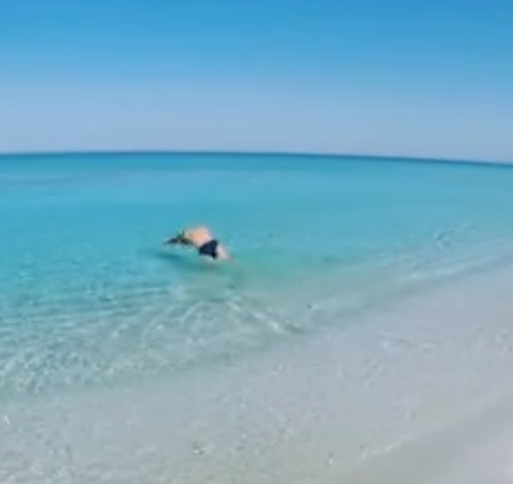 Un tuffo dove l’acqua è più blu… il paradiso è in Sardegna