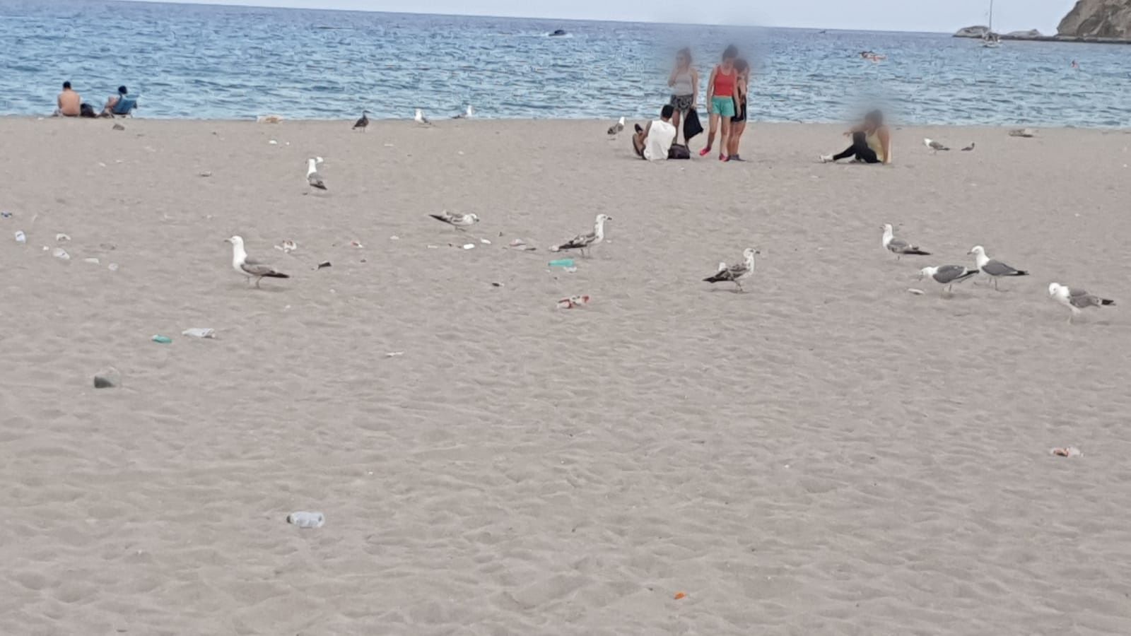 “Al Poetto orde di giovani incivili, e poi sono i cani quelli che sporcano? Vergogna” 